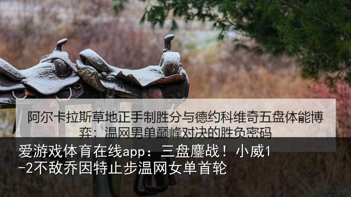 爱游戏体育在线app:三盘鏖战!小威1-2不敌乔因特止步温网女单首轮