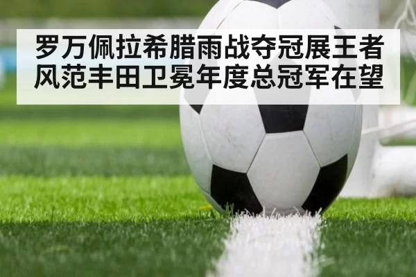 罗万佩拉希腊雨战夺冠展王者风范丰田卫冕年度总冠军在望